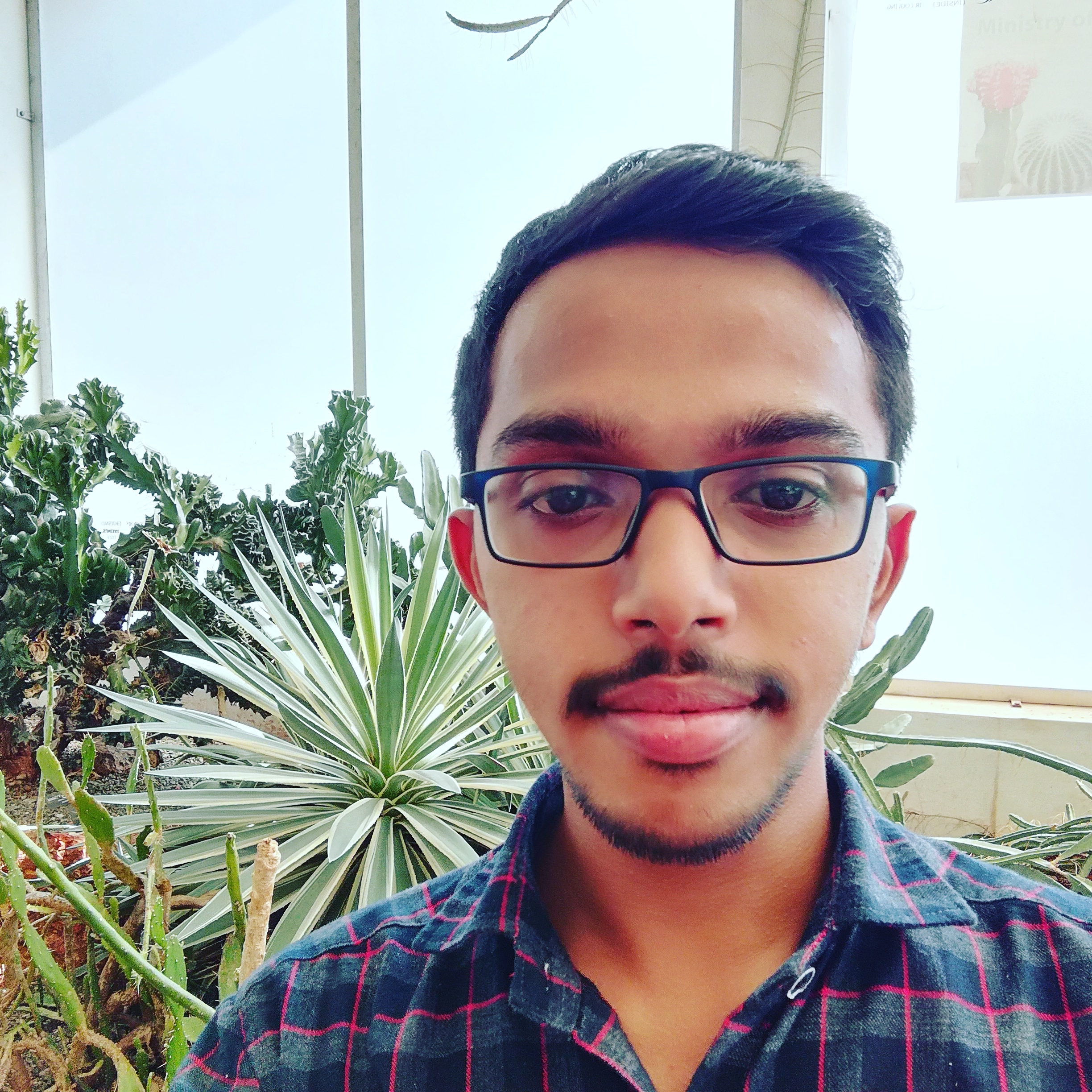 Profile Picture